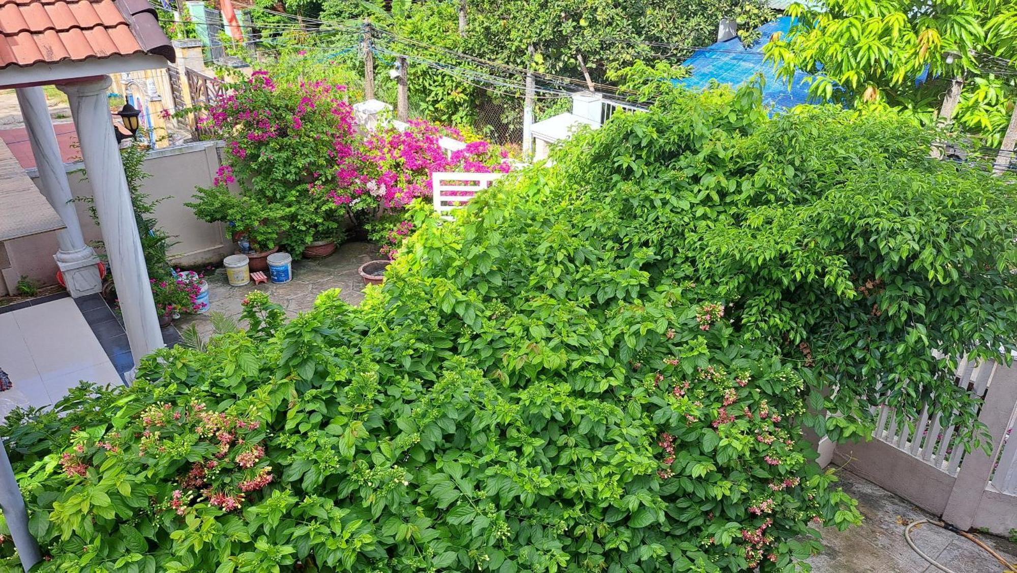 Pink House Homestay Hoi An Exterior foto