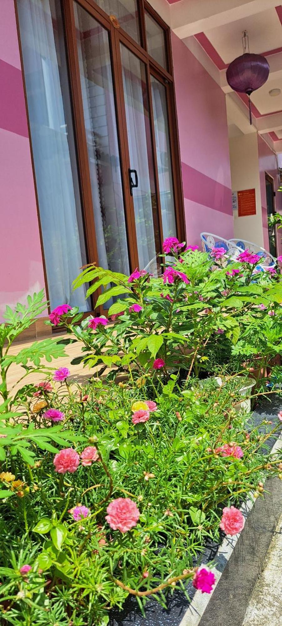 Pink House Homestay Hoi An Exterior foto