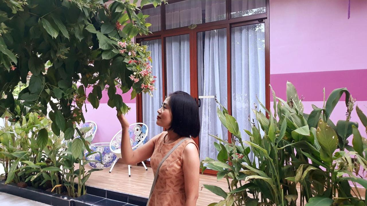 Pink House Homestay Hoi An Exterior foto